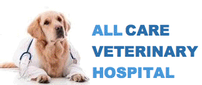 Gift Certificate for $100 for Veterinary Services 202//85